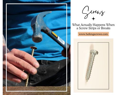 what actually happens when a screw strips ro breaks